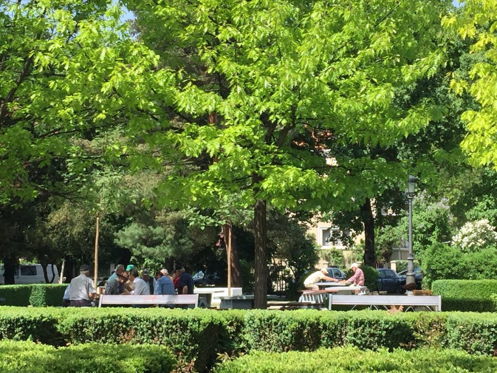 green park with people sitting on benches under shade of trees