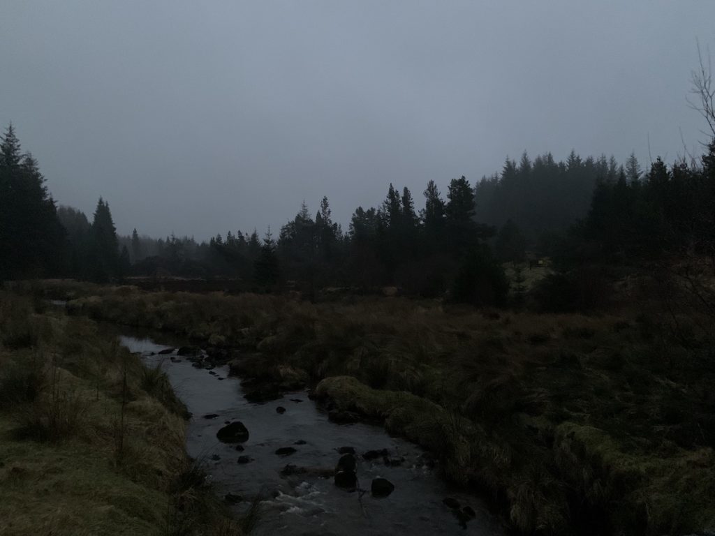 davagh forest